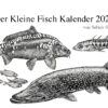 Der Kleine Fisch Kalender 2024