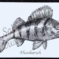 Fisch Magnete