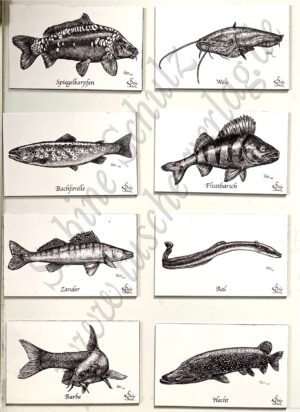 Sonderpreis, 8 Fisch Magnete